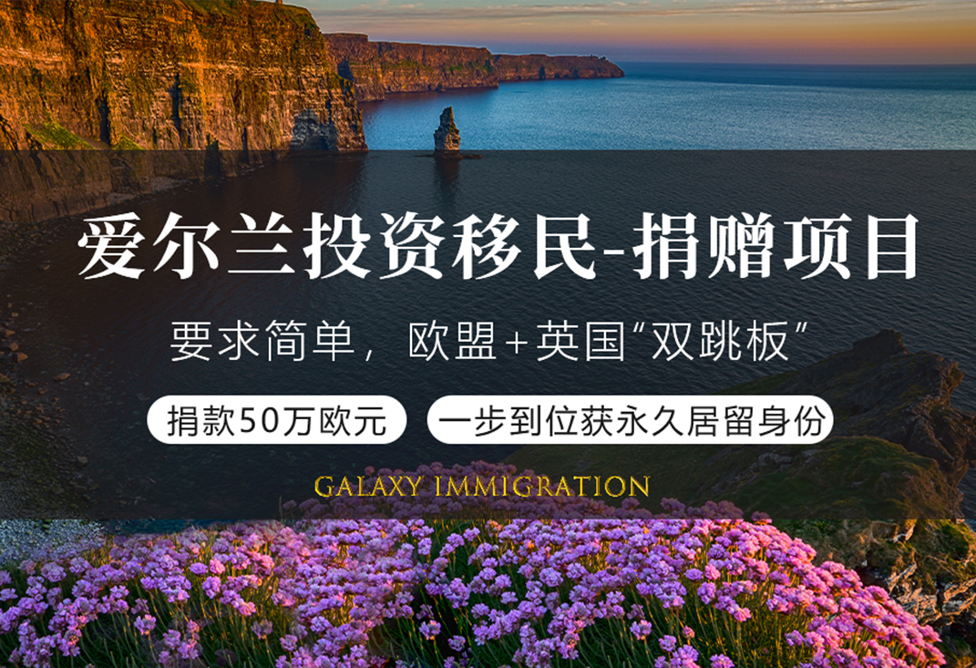 爱尔兰投资移民-捐赠项目